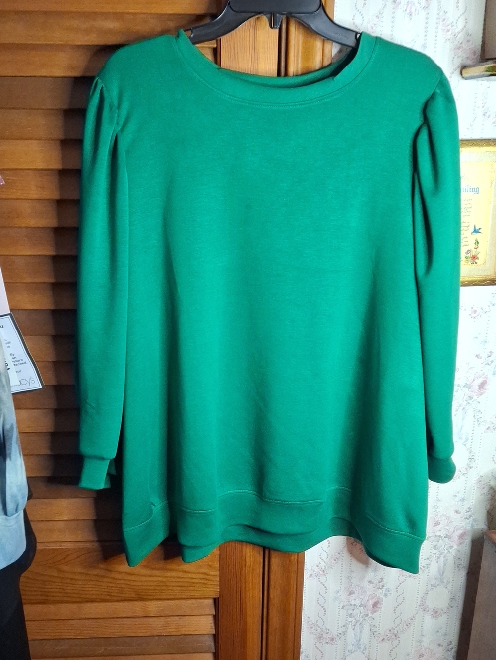 Cato Green Crewneck Long-Sleeve Heavy Top NWOT 22W/24W